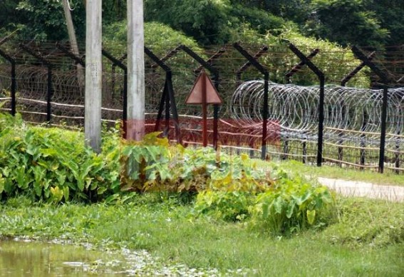 Border fencing renovation brewed resentment among the locale at Kamalpur: Old wires kept in places to profit the agency Border fencing renovation brewed resentment among the locale at Kamalpur: Old wires kept in places to profit the agency